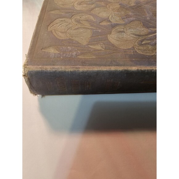 The Masters Violin Rare Old Book | Collectable Book | Unique Decor - Picture 10 of 10